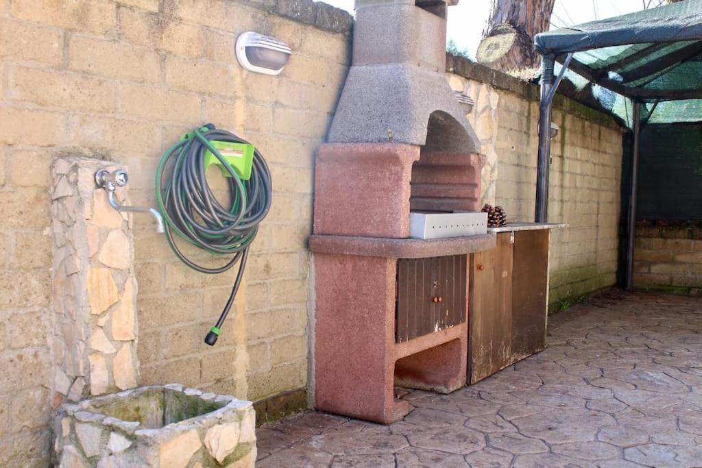 Ferienwohnung The Garden House Fco, Self Check In And Free Private Parking Fiumicino Exterior foto